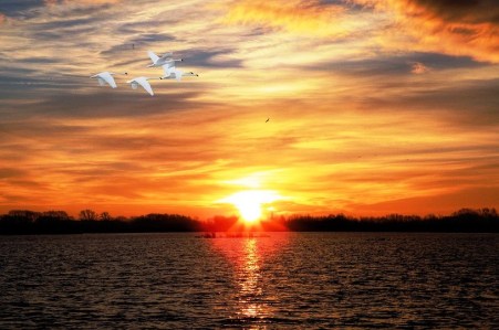 sunset-2011400_960_720