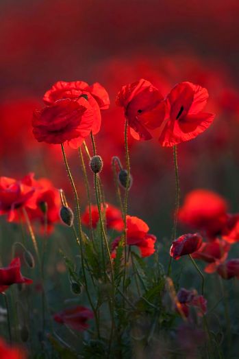 67d366c37f41cc0845845f70d5807a95