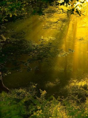 1c8ffc7a7b4320c1dce43bc21451cf9b