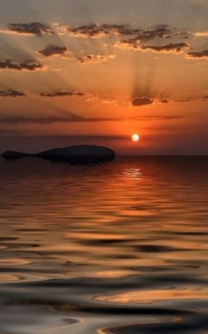 ac762b038a9ca06330140d6bb6e069c5