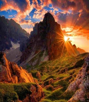 d775c740979a569aa44775552a7032f6