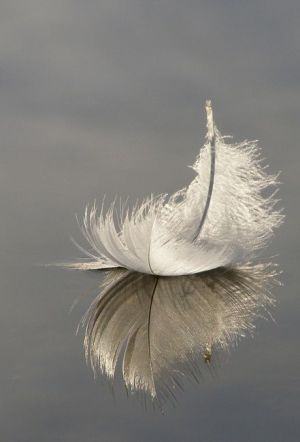 42cafbf60f1424c5fcee01aeeb6e6a8a