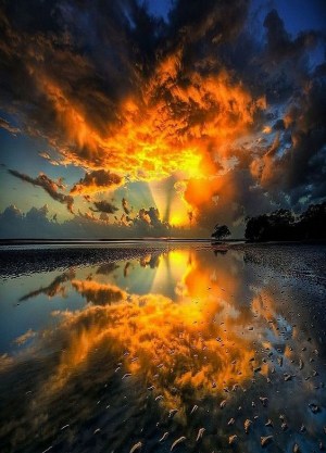 677d507929d9389ef8bd1760c2ea676c