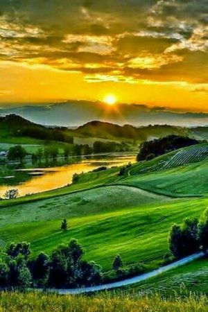 805bd8fad8d2bc584441967b5c45b51c (1).jpg