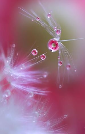 c46468907c62abd81259ba9fc40b489b