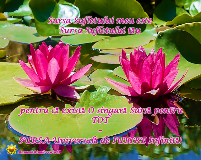 o sursă.png