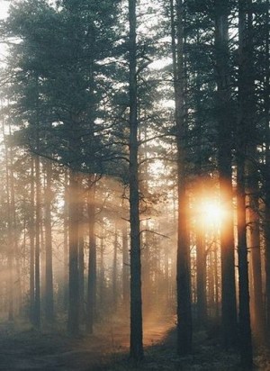 d80b6f69d96898cdd248d701453dda50