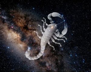 1c967c899cc70289eabcbbafe7373a29