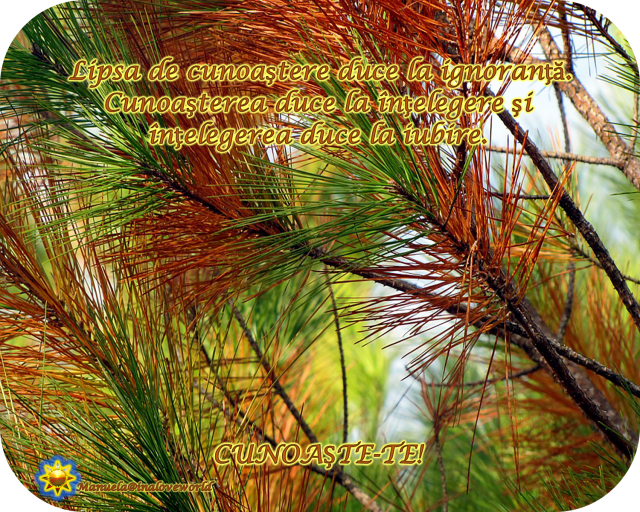 cunoaste.png