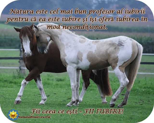 fii iubire.png