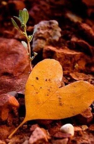 524c26c0fd39b7a4f8da0271836ef6d3