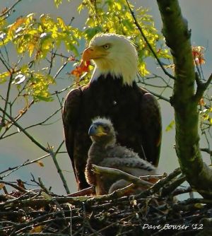 7d1e58367c65ded11fb549d27647e623