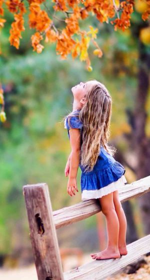 9b30181890e87d6a06ab4dadc299b6d6