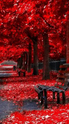 c2ab8d6b8313a90b03cca2bca7a3bd1c