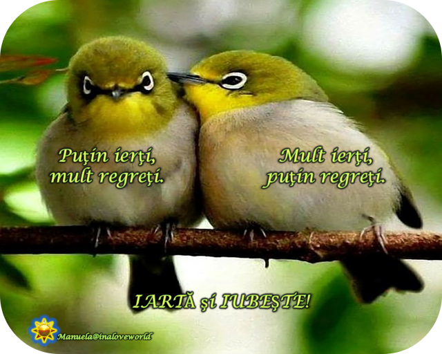 iarta si iubeste.png