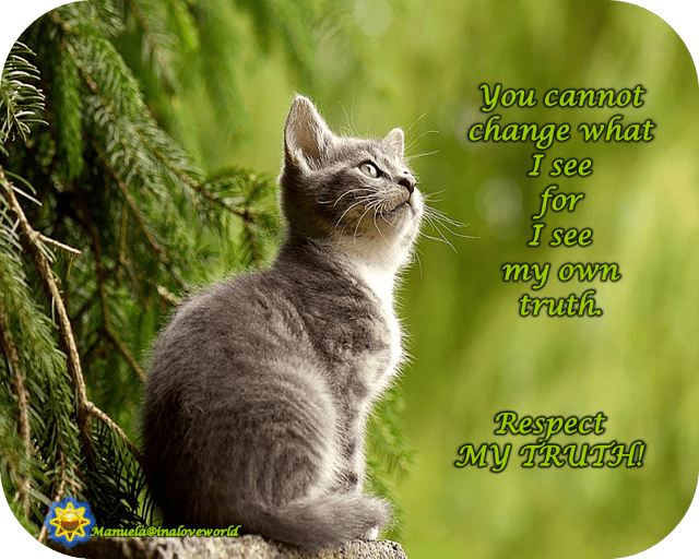 respect my truth.png