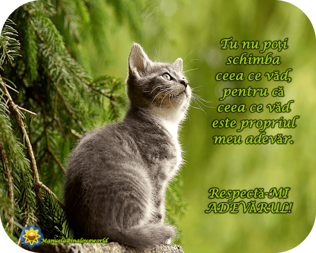 respecta adevarul.png