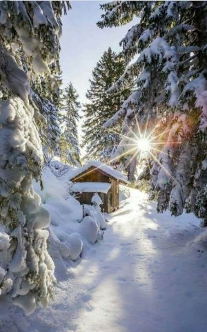 37c7e9c24dfe00cee40e786e5ba0bb93