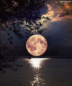 8fe86afdea22cec1912fccf13d2accfb