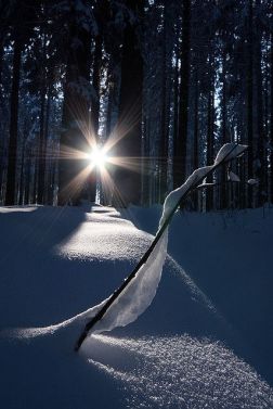 bb418f7738133687d038a00e613dd407