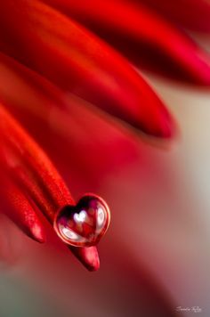 fe54a46eeb7c57e3cd8b296531504b90