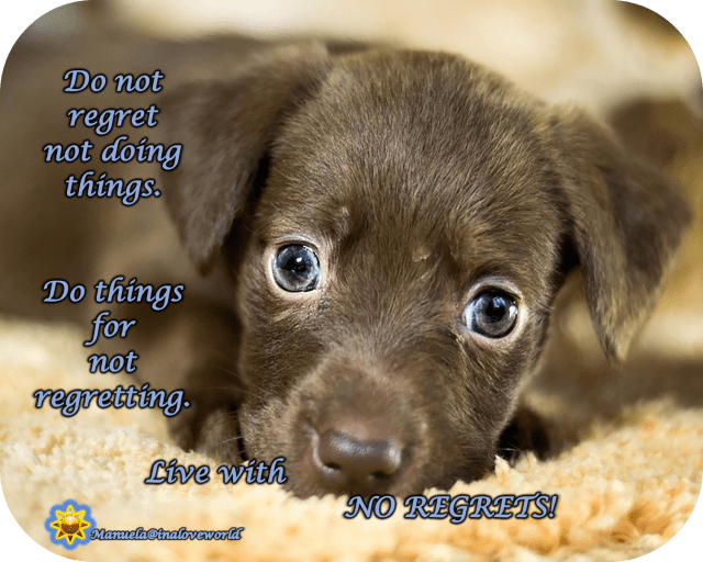 live with no regrets