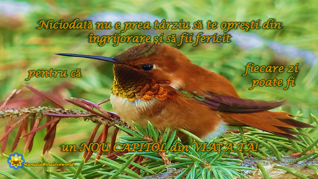 nou.png