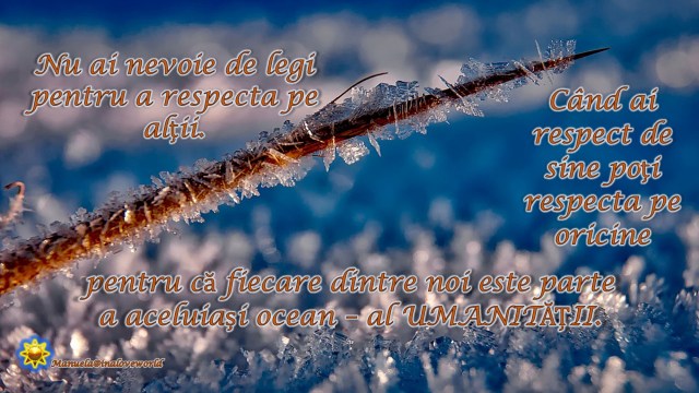 respectul nostru.jpg