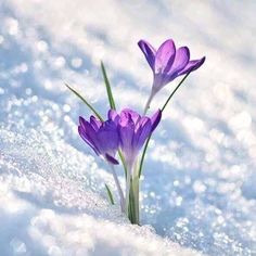 da754b2d2209a3e5cf5afb377c060a65