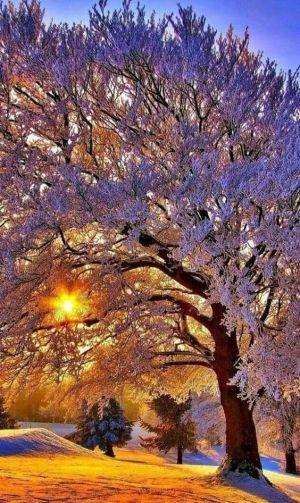 67271f20468995e76b046b51af8457c0