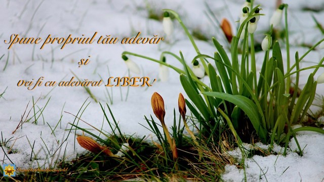 propriul adevar.002.jpeg