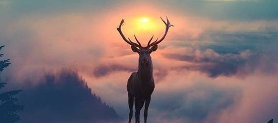 aace15fd6cdf64e8038cff74451ff2a4