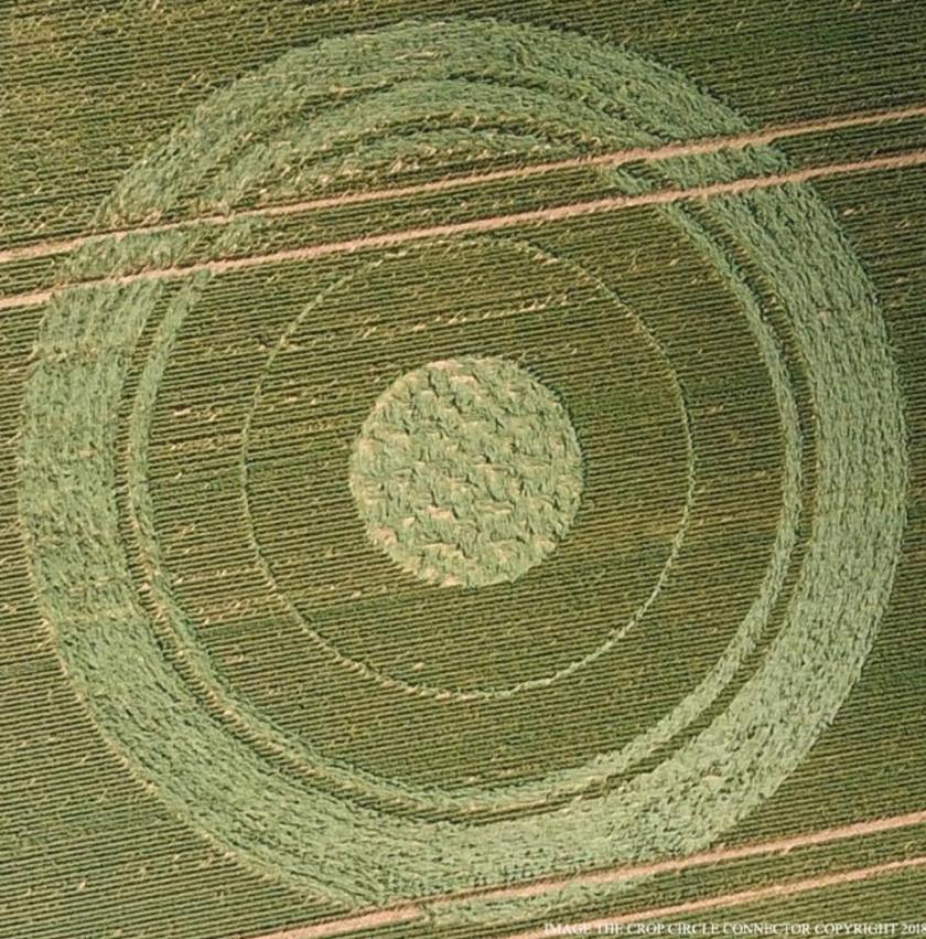 34161695_1779534842114230_4143493394427019264_n