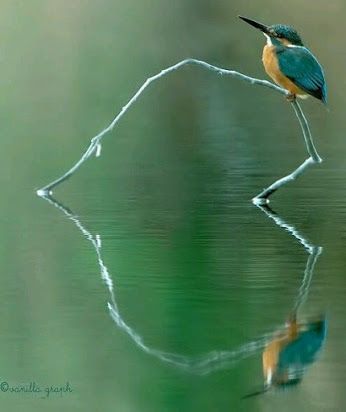 6b48c650a0b371c73709282fb48a0936