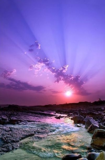 7895ab74fe812e9fc2af46e53883b5e1