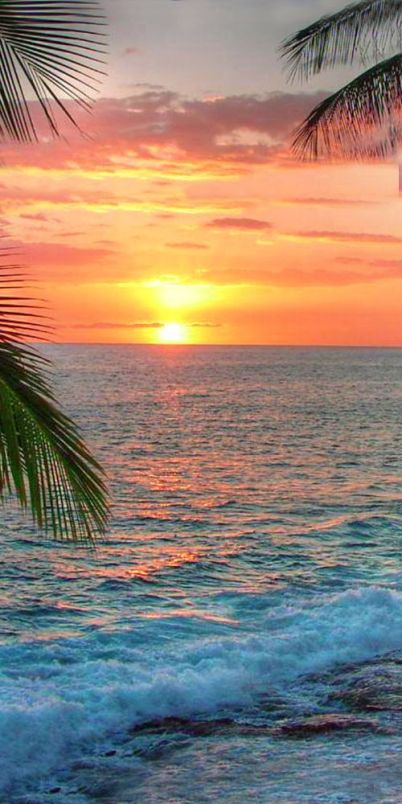 50cb401bc8d4d4b0260f95f3e3b2911f