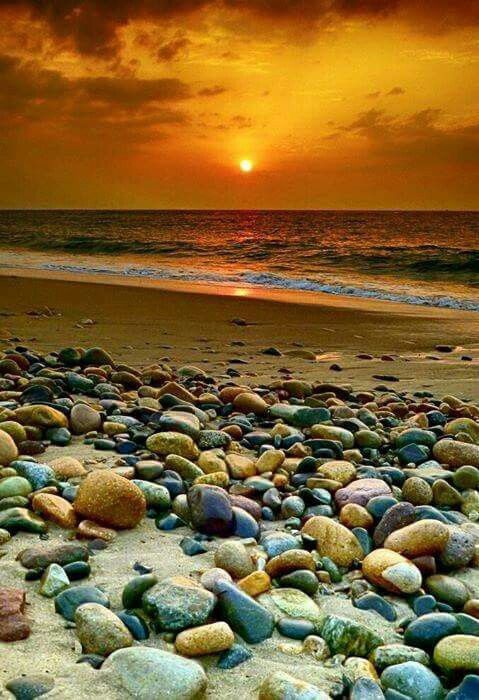 88da7ddc258a83ad29f28c4bd0e56524