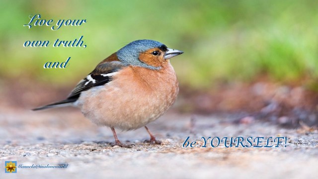 be yourself.001.jpeg