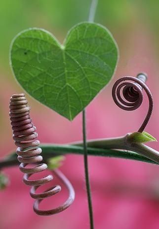 8b871631977a6a774bff3e7efbc42c50