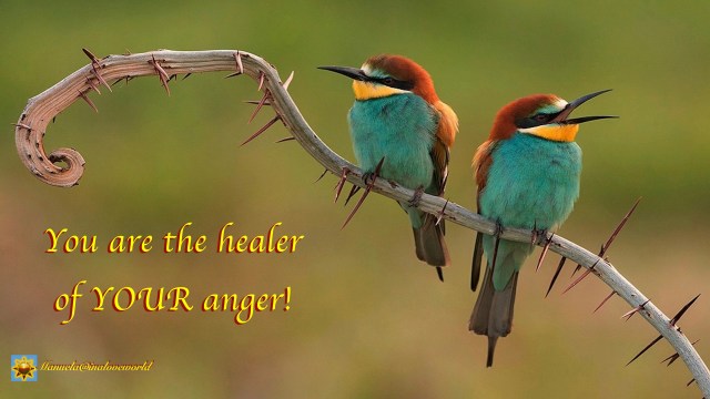 healer of anger.001