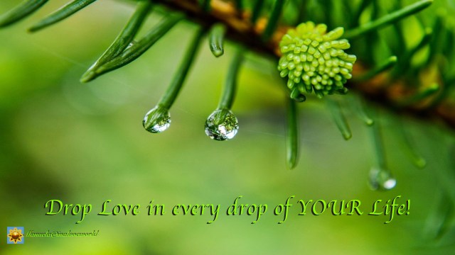 drop love.001