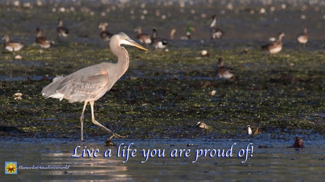 proud of your life.001