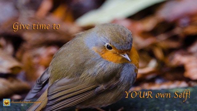 time to your self.001