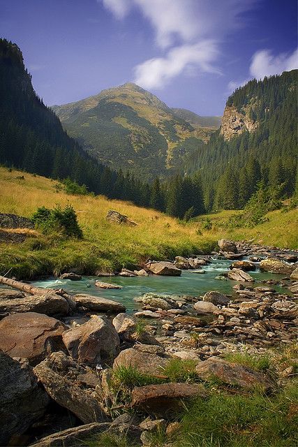 14104048d0620b2029f288b19425358a