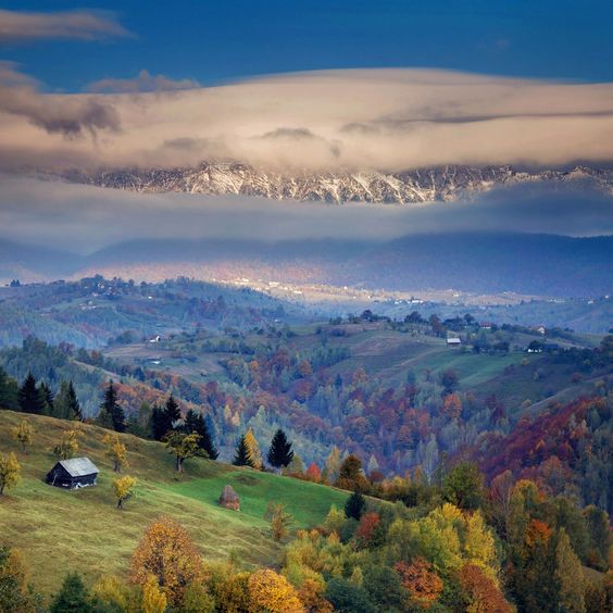 5f53b8aa3de760c022ef55e08e96b795