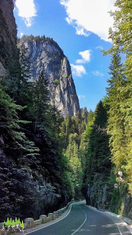 6b78c5215ab6f33c3d3cb4a63c20a58b