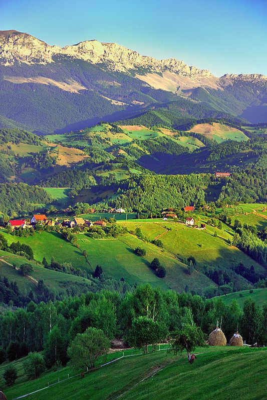 8b8c9d9ba285b5a5294886f2d6127697