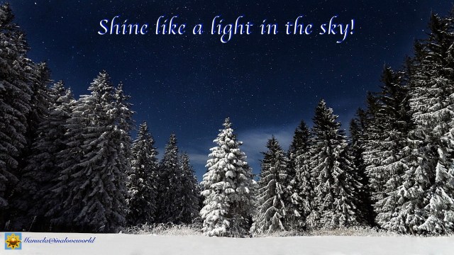 a light in the sky.001