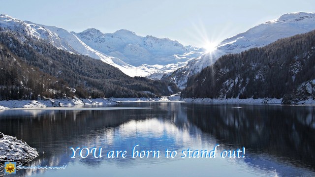 born to stand out.001