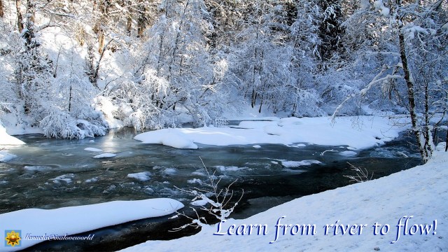learn from river.001
